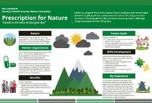 Mais' Infographic